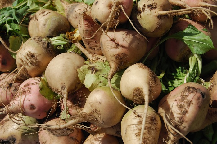 Swede, also known as rutabagas