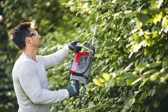 A hedge trimmer in action A hedge trimmer in action